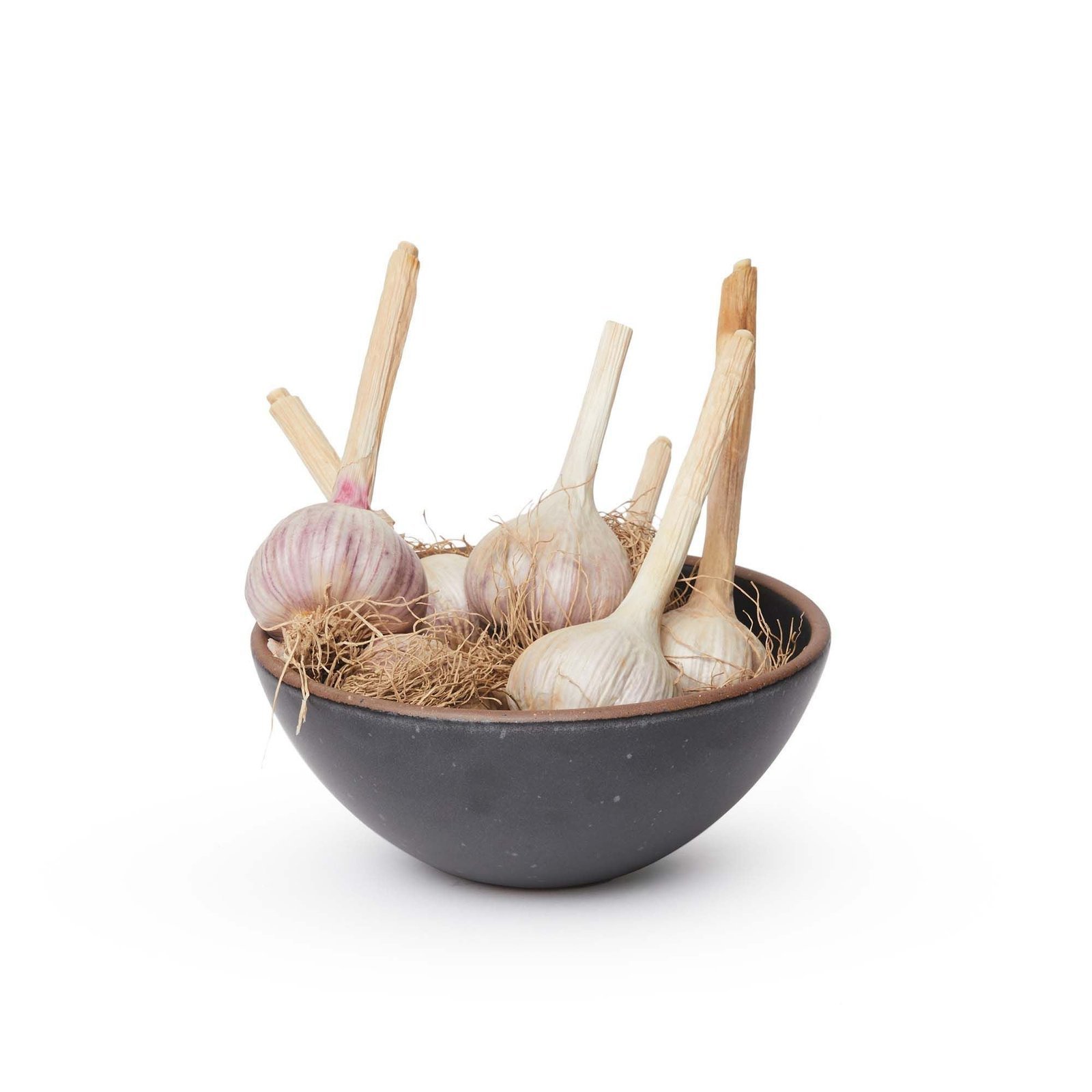 Vellax Supply soup bowl in Graphite, shown with garlic bulbs