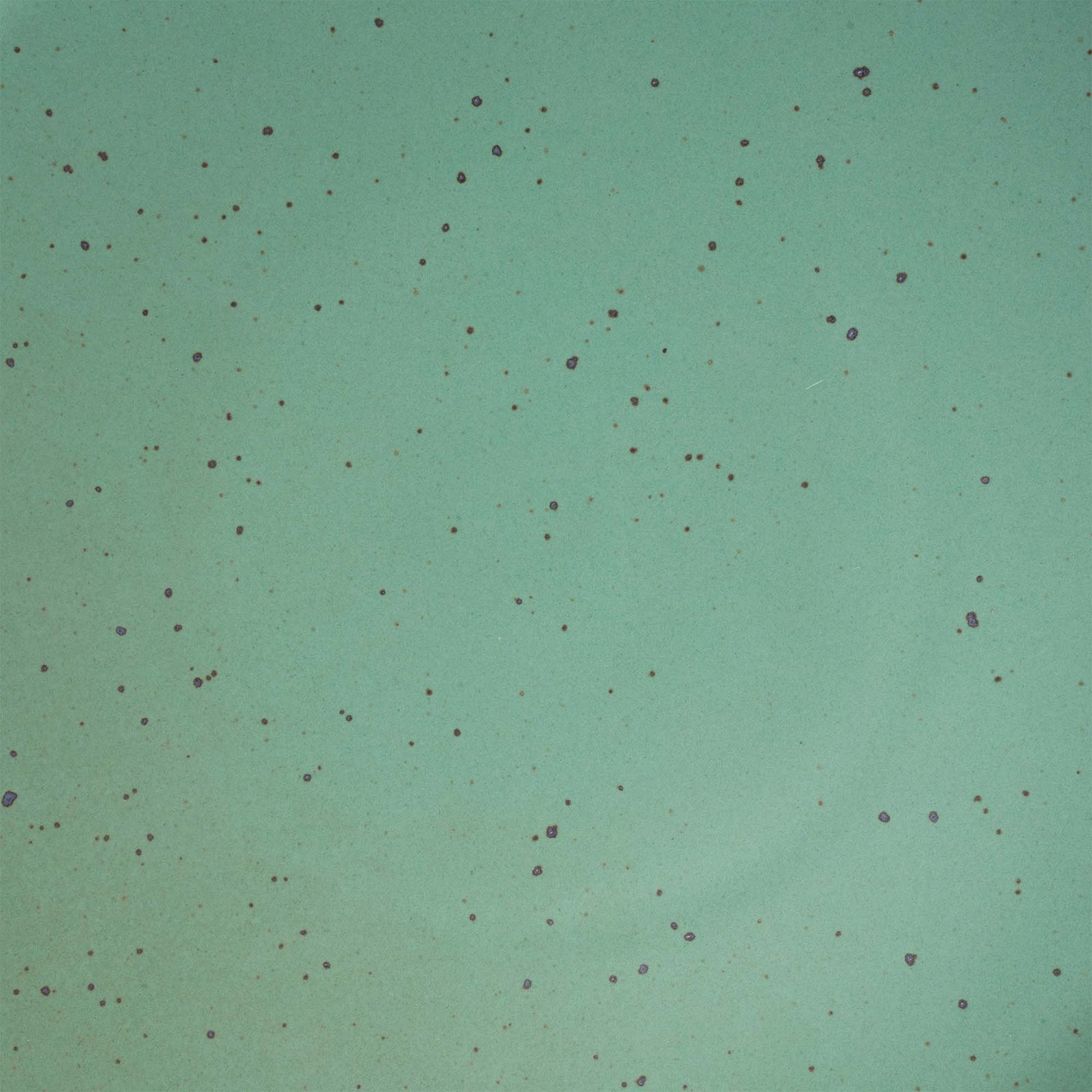 Vellax Supply soup bowl in Viridian, close-up of the green glaze